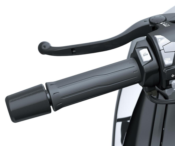 Podgrzewane manetki (Z H2/SE)