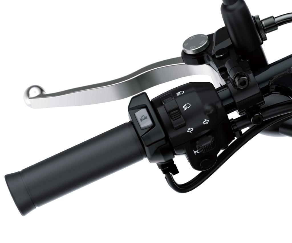 Podgrzewane manetki (W800)