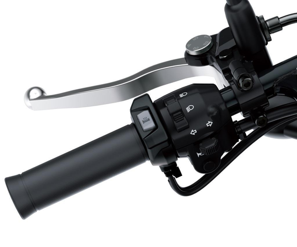 Podgrzewane manetki (W800)